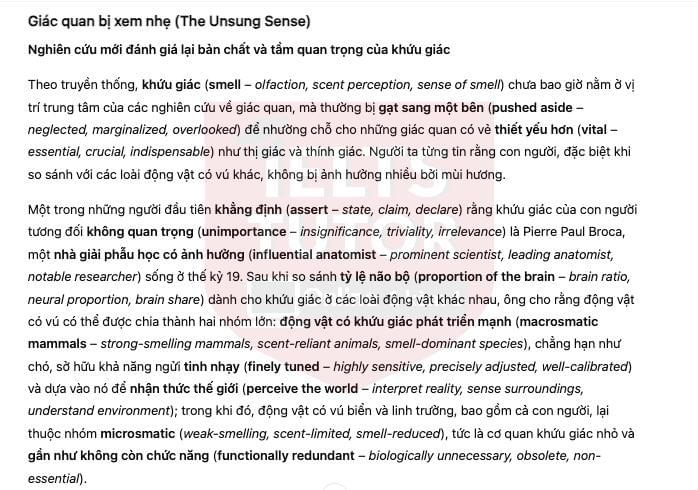 🔥The Unsung Sense Answers with location - Đề thi thật IELTS READING- Làm bài online format computer-based, kèm đáp án, dịch & giải thích từ vựng - cấu trúc ngữ pháp khó