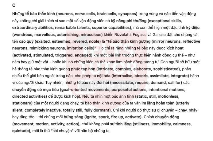 🔥How Does Watching Sport Influence the Brain? Answers with location - Đề luyện IELTS READING- Làm bài online format computer-based, kèm đáp án, dịch & giải thích từ vựng - cấu trúc ngữ pháp khó