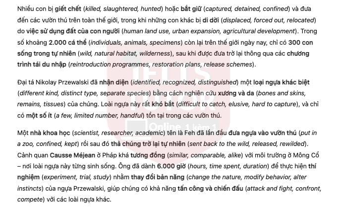 🔥Back to Wild - Đề thi thật IELTS READING - Làm bài online format computer-based, kèm đáp án, dịch & giải thích từ vựng - cấu trúc ngữ pháp khó