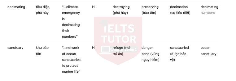 🔥Chinstrap Penguin Population In The Last 50 Years Answers with location - Đề thi thật IELTS READING- Làm bài online format computer-based, kèm đáp án, dịch & giải thích từ vựng - cấu trúc ngữ pháp khó