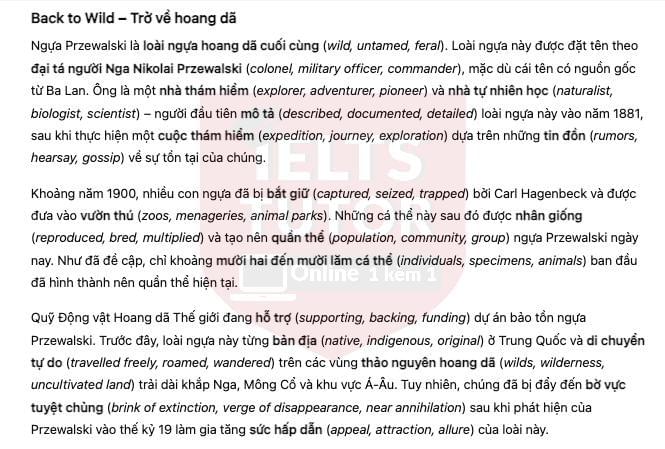 🔥Back to Wild - Đề thi thật IELTS READING - Làm bài online format computer-based, kèm đáp án, dịch & giải thích từ vựng - cấu trúc ngữ pháp khó