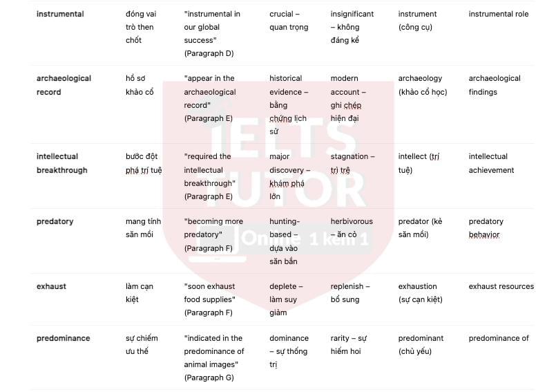 🔥The Animal Connection Answers with location - Đề thi thật IELTS READING- Làm bài online format computer-based, kèm đáp án, dịch & giải thích từ vựng - cấu trúc ngữ pháp khó