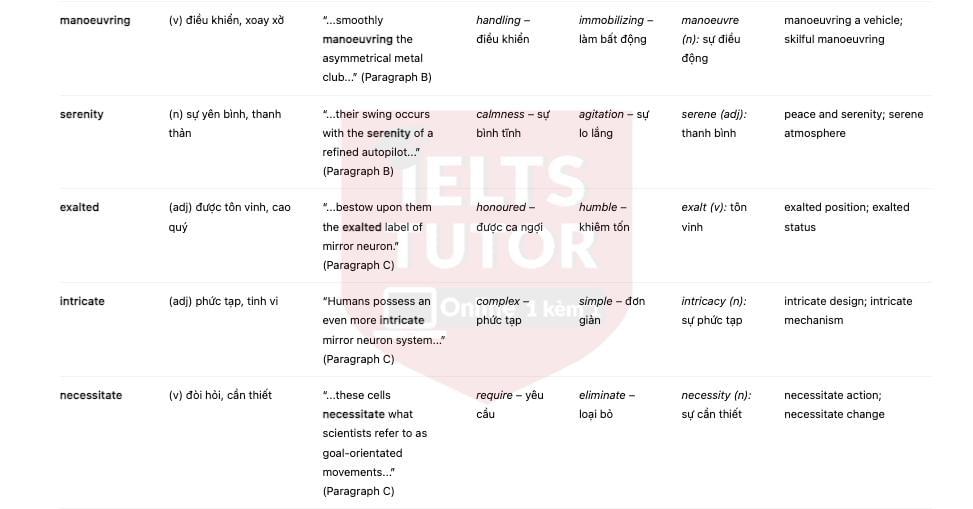 🔥How Does Watching Sport Influence the Brain? Answers with location - Đề luyện IELTS READING- Làm bài online format computer-based, kèm đáp án, dịch & giải thích từ vựng - cấu trúc ngữ pháp khó