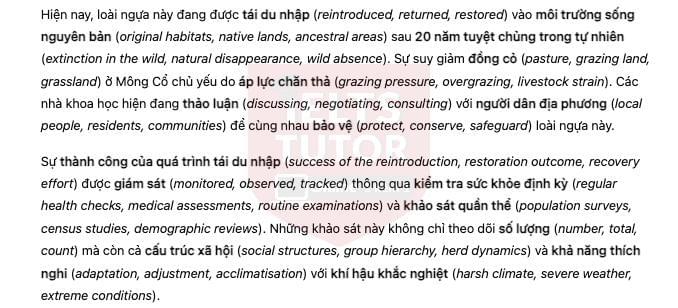 🔥Back to Wild - Đề thi thật IELTS READING - Làm bài online format computer-based, kèm đáp án, dịch & giải thích từ vựng - cấu trúc ngữ pháp khó