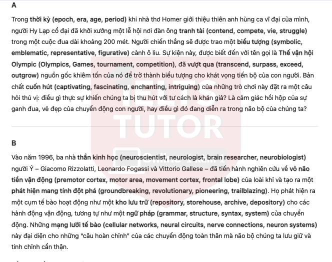 🔥How Does Watching Sport Influence the Brain? Answers with location - Đề luyện IELTS READING- Làm bài online format computer-based, kèm đáp án, dịch & giải thích từ vựng - cấu trúc ngữ pháp khó