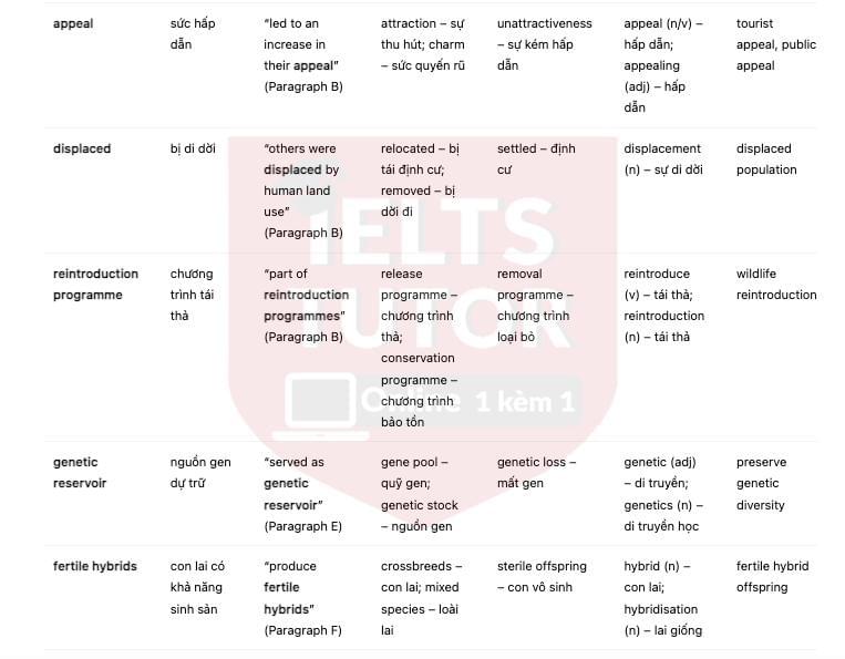 🔥Back to Wild - Đề thi thật IELTS READING - Làm bài online format computer-based, kèm đáp án, dịch & giải thích từ vựng - cấu trúc ngữ pháp khó