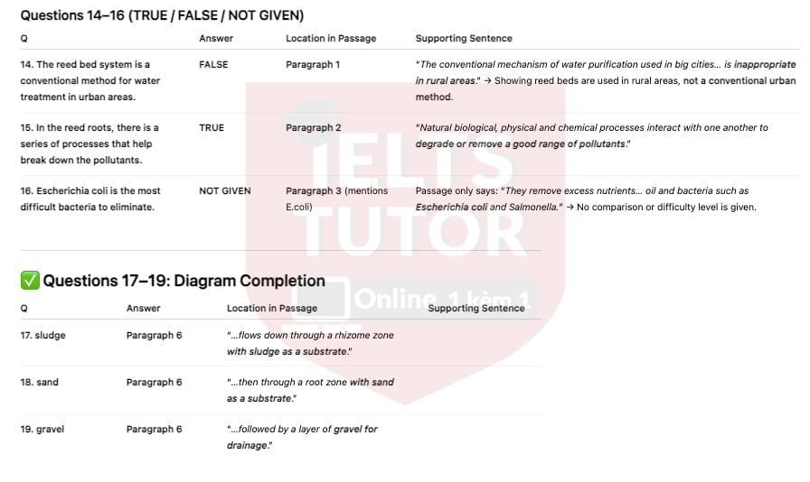 IELTS TUTOR cung cấp Water Treatment 2: Reed Bed: Đề thi thật IELTS READING (IELTS Reading Recent Actual Test) 