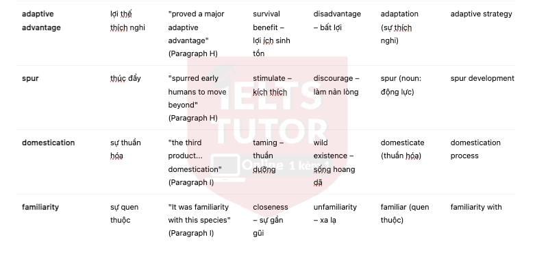🔥The Animal Connection Answers with location - Đề thi thật IELTS READING- Làm bài online format computer-based, kèm đáp án, dịch & giải thích từ vựng - cấu trúc ngữ pháp khó