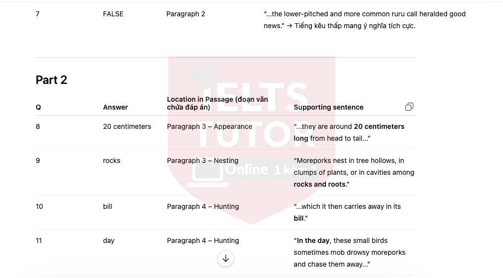 🔥A Survivor's Story IELTS READING ACTUAL TEST - Làm bài online format computer-based, kèm giải thích từ vựng