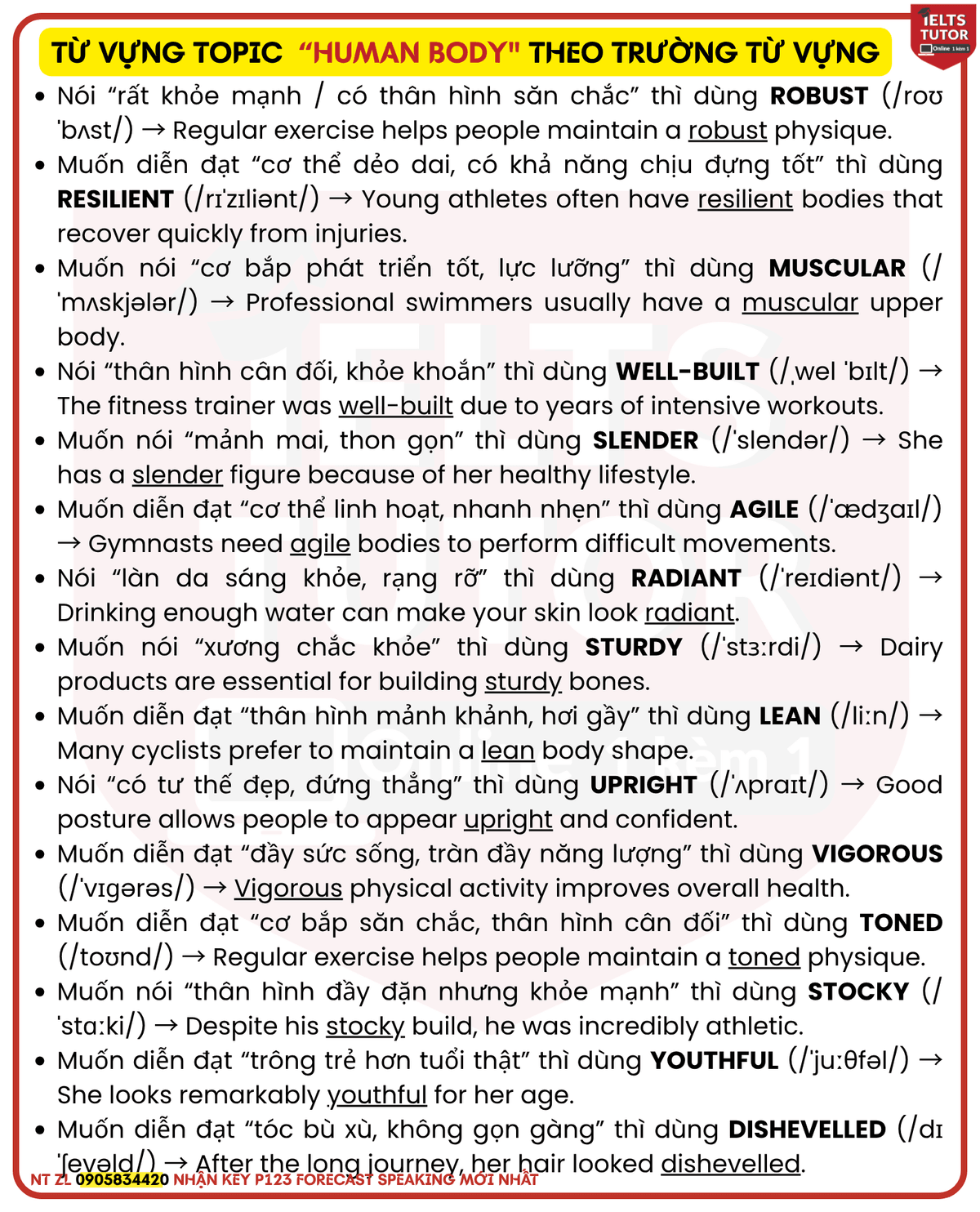 Từ vựng topic Human body (cơ thể người) IELTS
