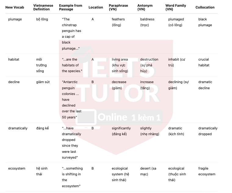 🔥Chinstrap Penguin Population In The Last 50 Years Answers with location - Đề thi thật IELTS READING- Làm bài online format computer-based, kèm đáp án, dịch & giải thích từ vựng - cấu trúc ngữ pháp khó
