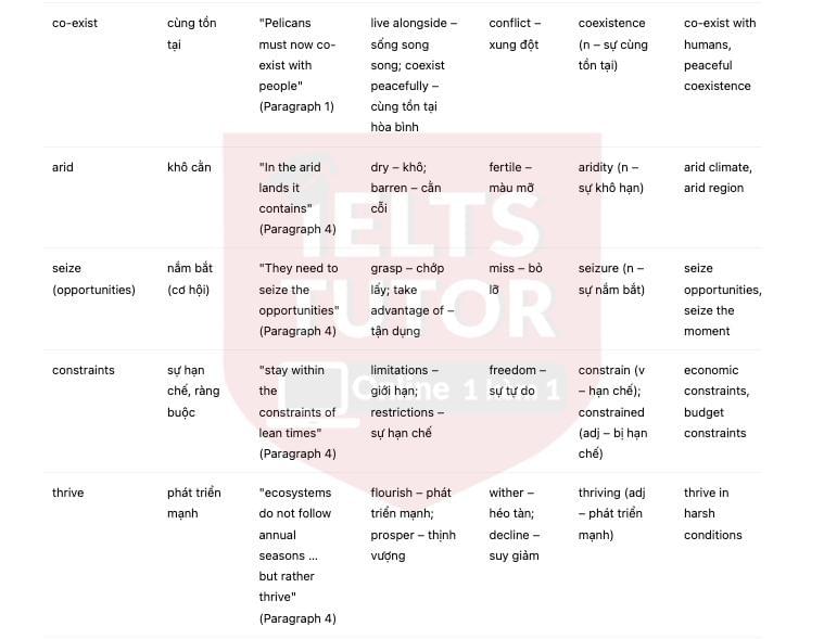 🔥Living with Uncertainty Answers with location - Đề thi thật IELTS READING