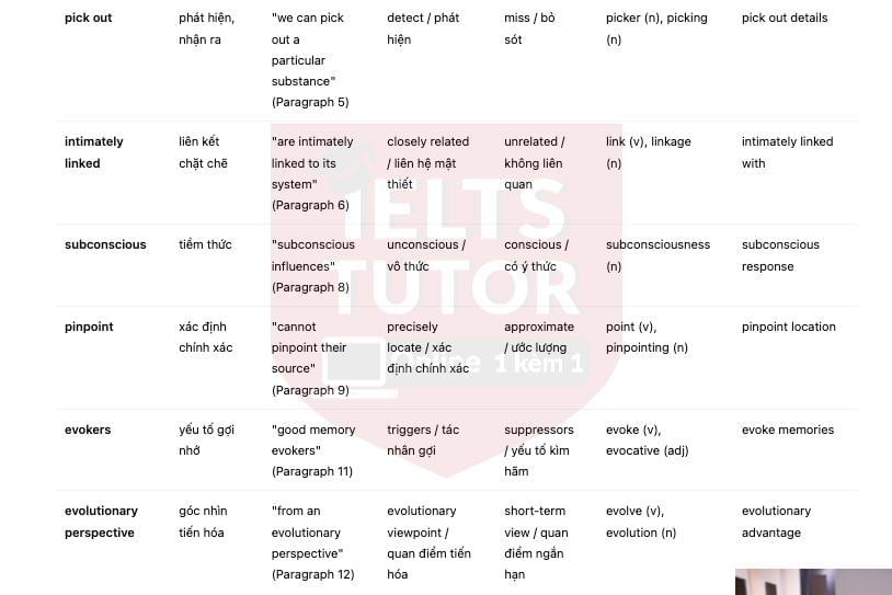 🔥 The Unsung Sense - Đề thi thật IELTS READING - Làm bài online format computer-based, kèm đáp án, dịch & giải thích từ vựng - cấu trúc ngữ pháp khó       