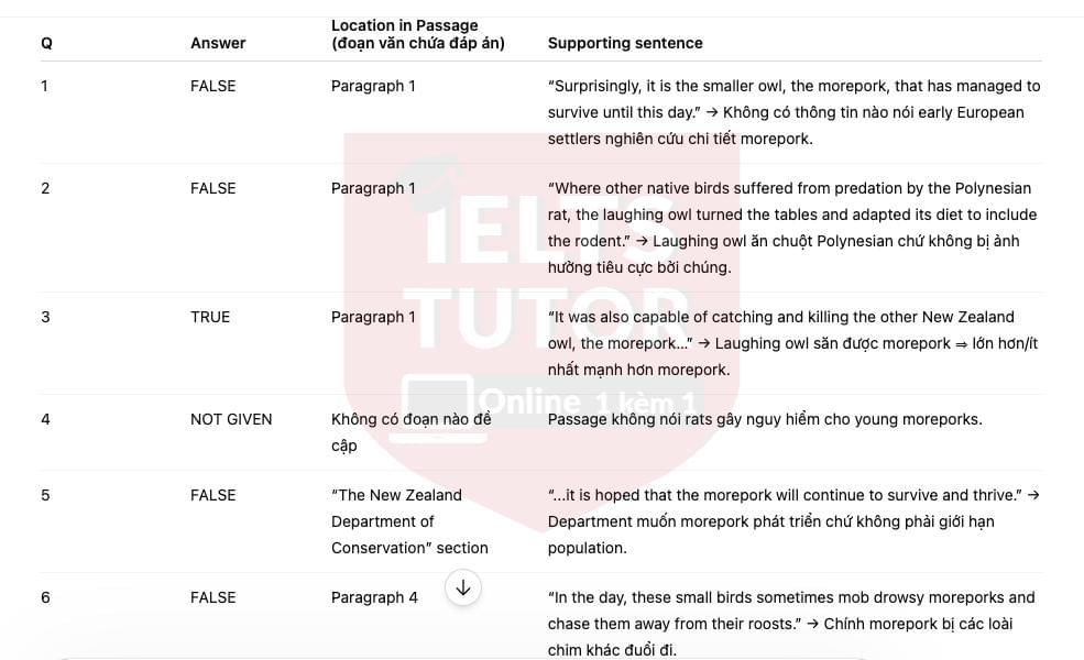 🔥A Survivor's Story IELTS READING ACTUAL TEST - Làm bài online format computer-based, kèm giải thích từ vựng