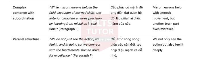 🔥How Does Watching Sport Influence the Brain? Answers with location - Đề luyện IELTS READING- Làm bài online format computer-based, kèm đáp án, dịch & giải thích từ vựng - cấu trúc ngữ pháp khó