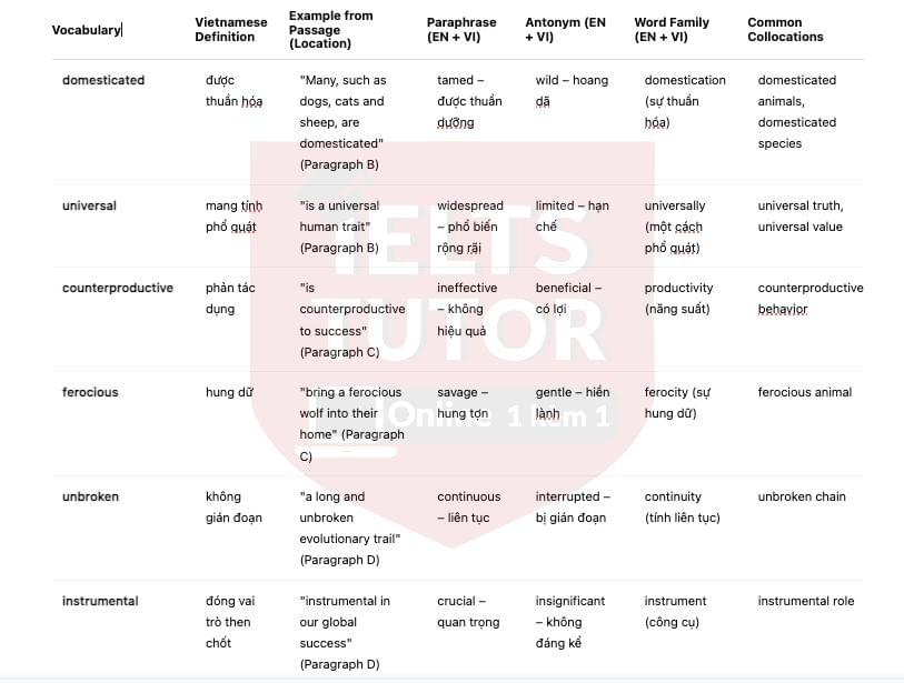 🔥The Animal Connection Answers with location - Đề thi thật IELTS READING- Làm bài online format computer-based, kèm đáp án, dịch & giải thích từ vựng - cấu trúc ngữ pháp khó