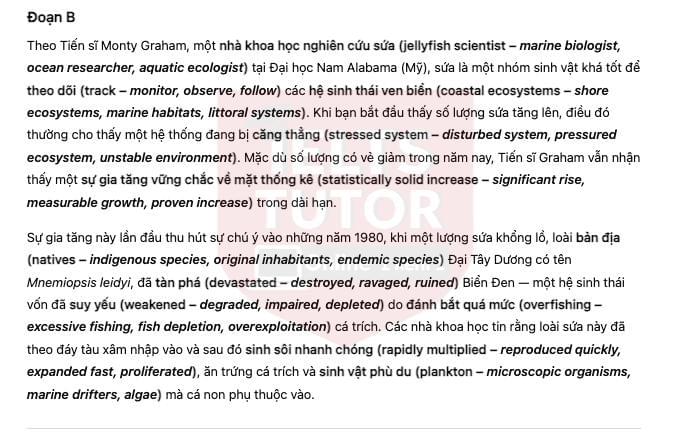 Jellyfish - The Dominant Species [TSI]​: Đề luyện tập IELTS READING (IELTS Reading Practice Test)