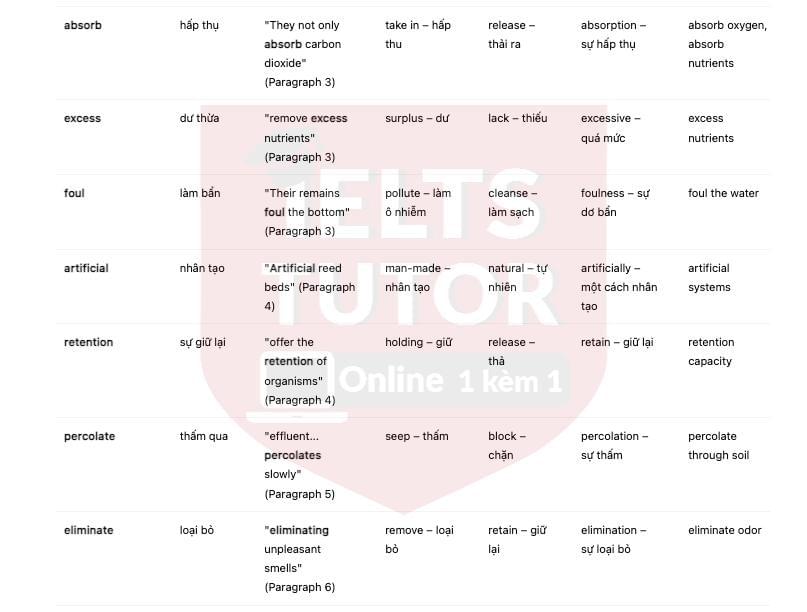 IELTS TUTOR cung cấp Water Treatment 2: Reed Bed: Đề thi thật IELTS READING (IELTS Reading Recent Actual Test) 