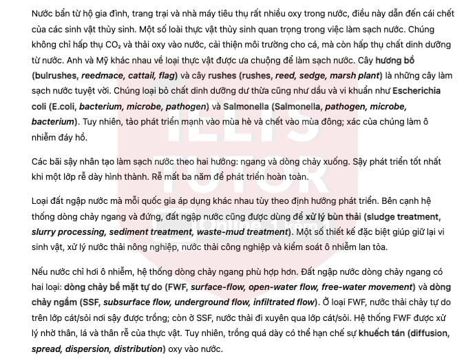 IELTS TUTOR cung cấp Water Treatment 2: Reed Bed: Đề thi thật IELTS READING (IELTS Reading Recent Actual Test) 