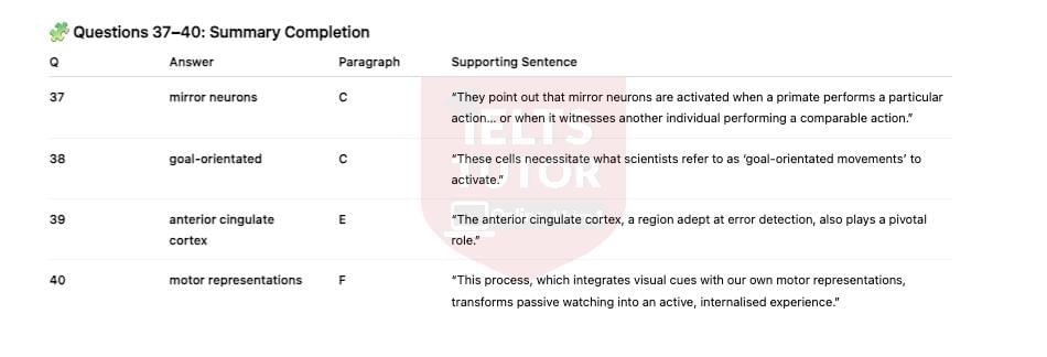 🔥How Does Watching Sport Influence the Brain? Answers with location - Đề luyện IELTS READING- Làm bài online format computer-based, kèm đáp án, dịch & giải thích từ vựng - cấu trúc ngữ pháp khó