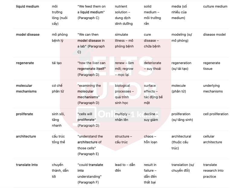 🔥How the Petri Dish Supports Scientific Advances Answers with location - Đề thi thật IELTS READING- Làm bài online format computer-based, kèm đáp án, dịch & giải thích từ vựng - cấu trúc ngữ pháp khó
