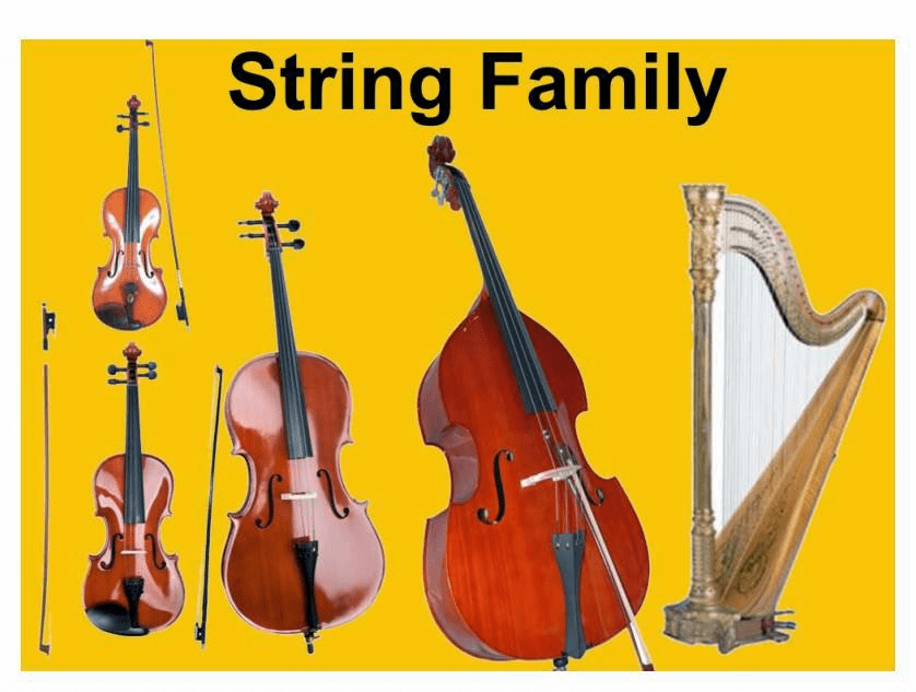 List of all string instruments