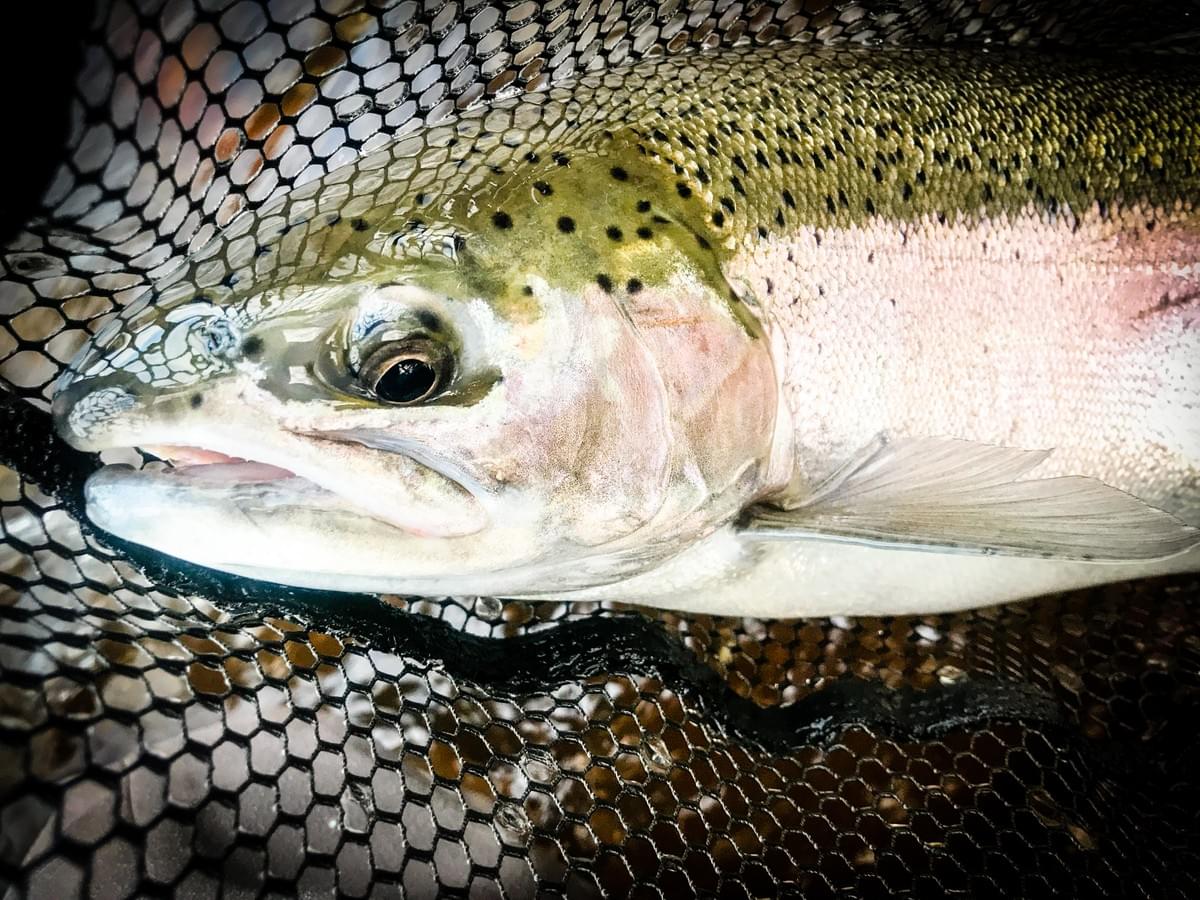 Winter Fly Fishing in the Upper Peninsula