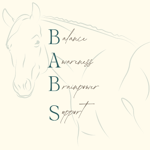 At Babs Withouck, your well-being is central. We offer horse coaching, coaching for neurodiversity, and burn-out coaching, so you can stand in your strength again. Together we work on your personal growth and recovery. Babs Withouck Coaching Horse coaching, coaching for neurodiversity and burnout coaching At Babs Withouck, your well-being is central. We offer horse coaching, coaching for neurodiversity, and burn-out coaching, so you can stand in your strength again. Together we work on your personal growth and recovery. Babs Withouck Coaching Horse coaching, coaching for neurodiversity and burnout coaching