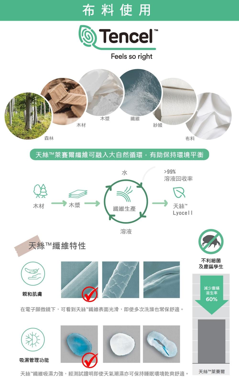 100%100支天絲/2455夏洛特