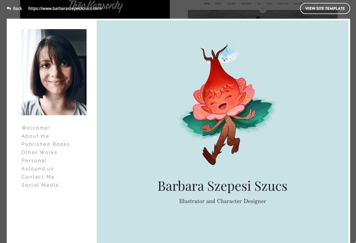 Ce este protecția confidențialității domeniului?