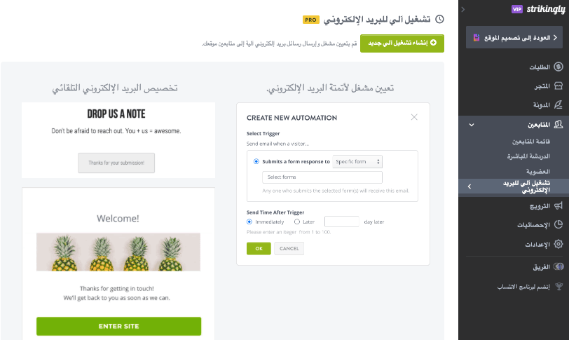 تخصيص البريد الإلكتروني باستخدام Strikingly - رسائل البريد الإلكتروني التفاعلية