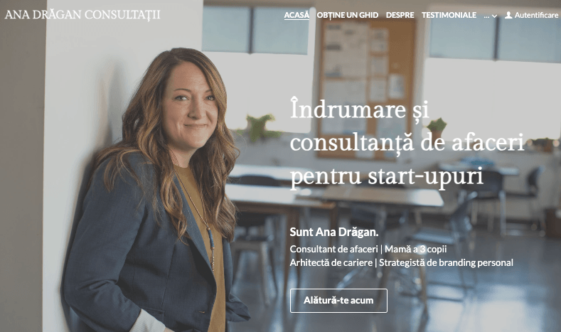 Sablonul de afaceri Sarah Horsman Consulting