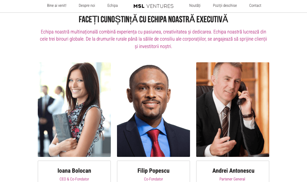 Șablonul MSL Ventures de la Strikingly