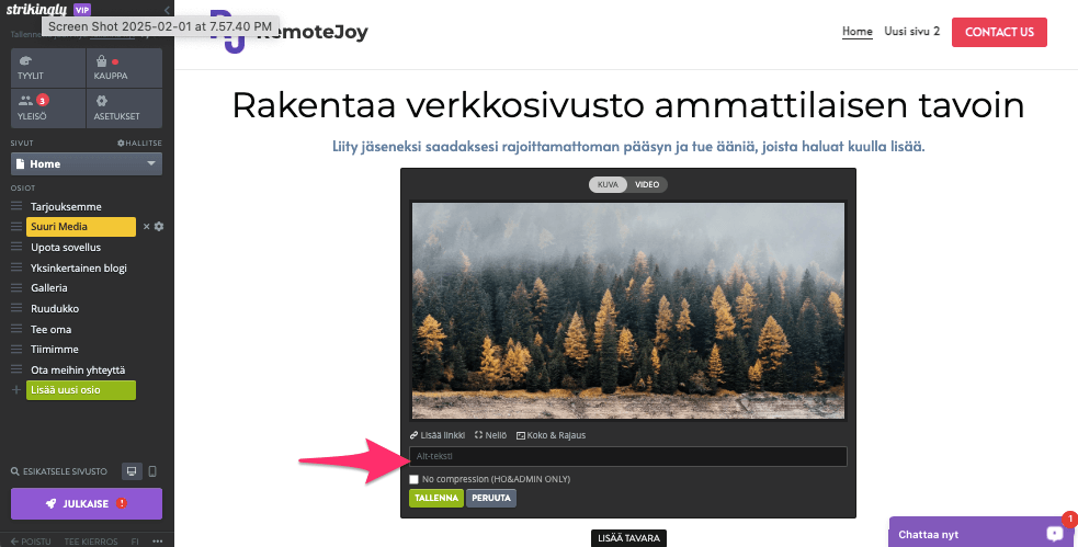 Etusivun suunnittelu Strikingly-toiminnolla (CTA)