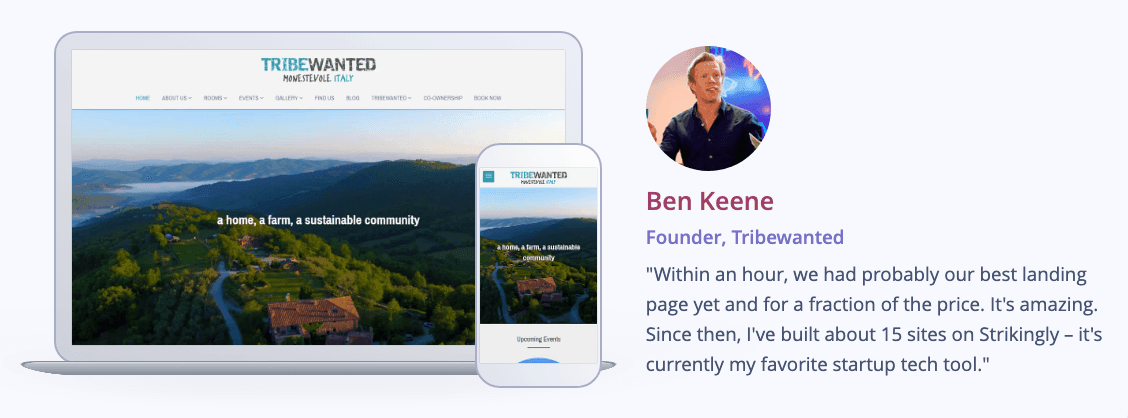 Tribe Wanted site web responsive