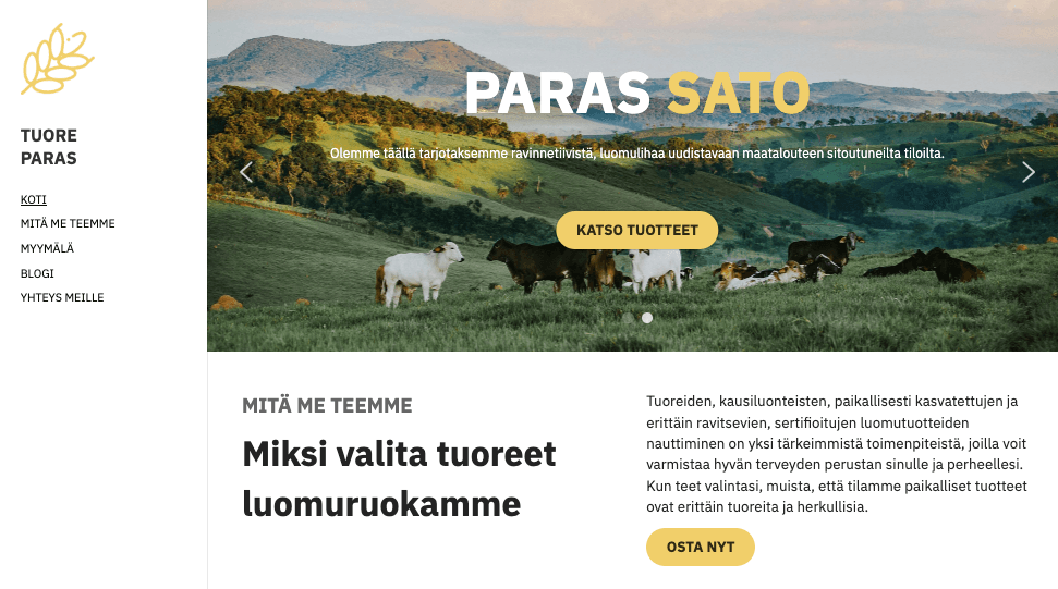 Tuorein Verkkokauppa-malli Strikinglyltä