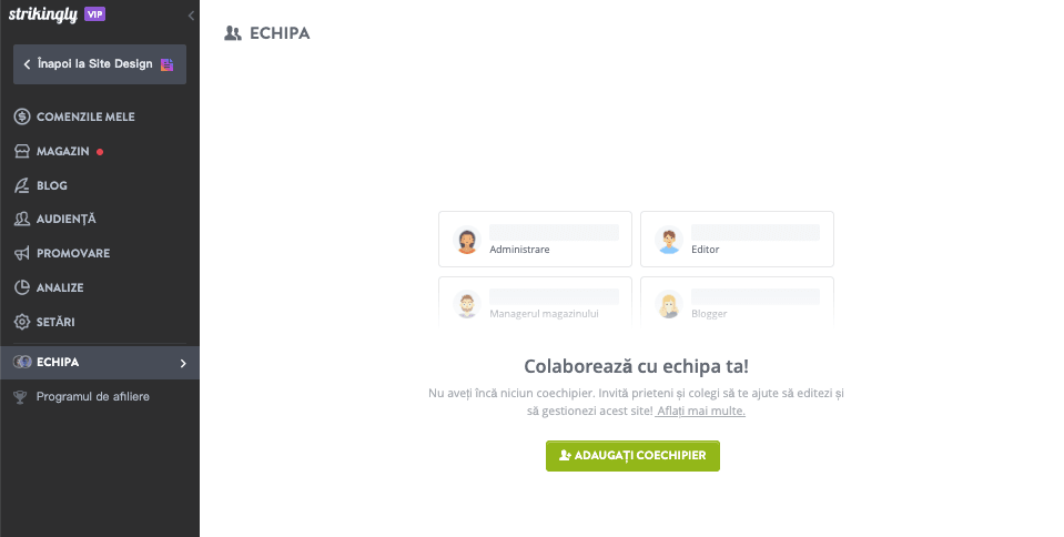 Funcția echipei Strikingly