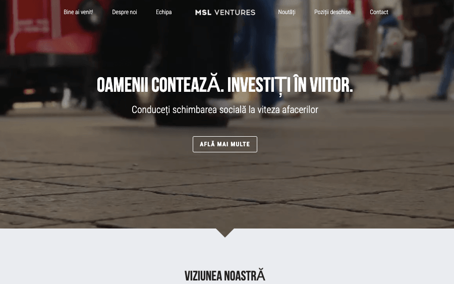 Șablon MSL Ventures