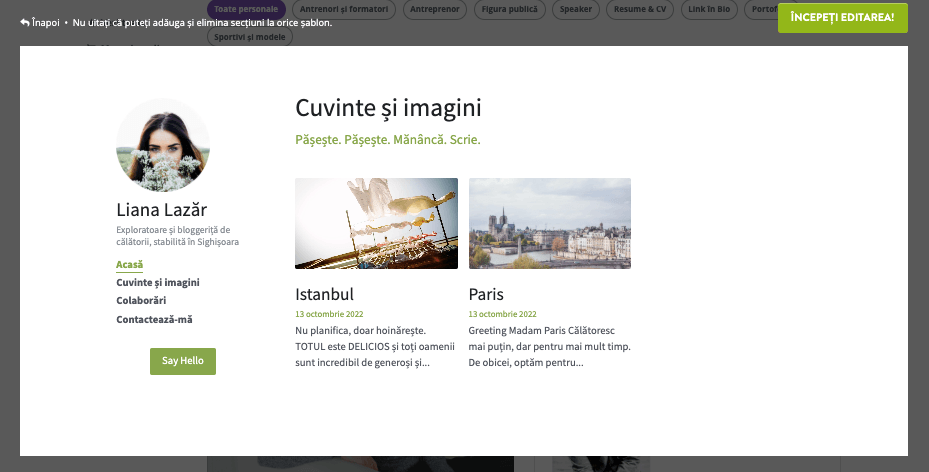 Marketing și promovare -