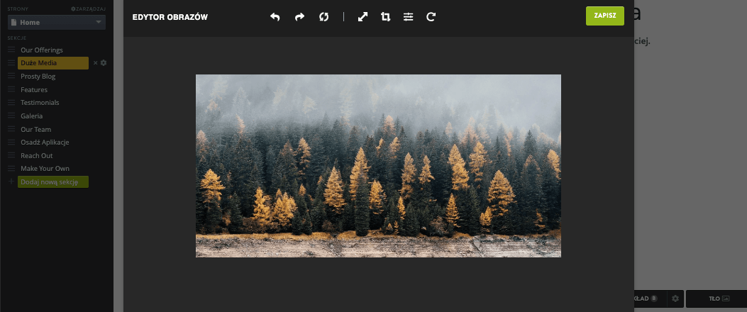 Jak dodać grafikę wektorową do strony Strikingly - Dostosowanie