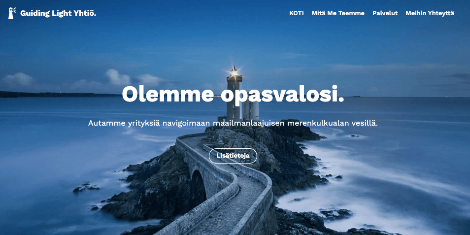 Zine: Ammattimainen palvelusivuston malli Strikinglyltä