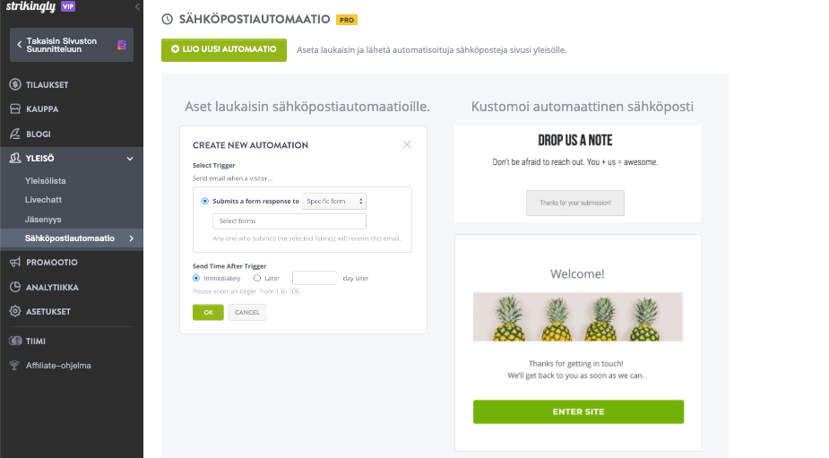 Sähköpostiautomaattivastaajan hyödyntäminen Strikinglyn kanssa - Luo automaattivastaajakampanja