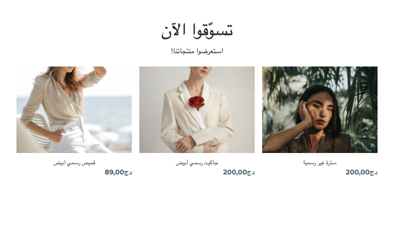 قالب متجر المنظور