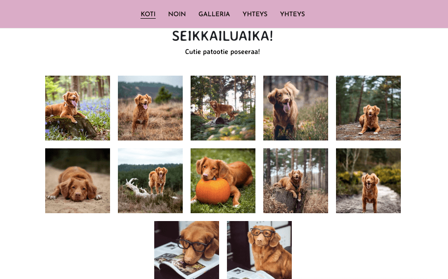 Buddy-malli Strikinglyltä