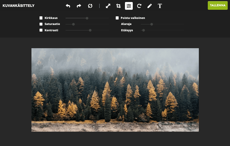 Strikinglyn kuvankäsittelyohjelma