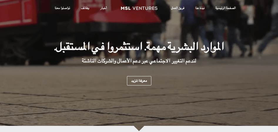 أعمال MSL Ventures قالب موقع ويب من Strikingly