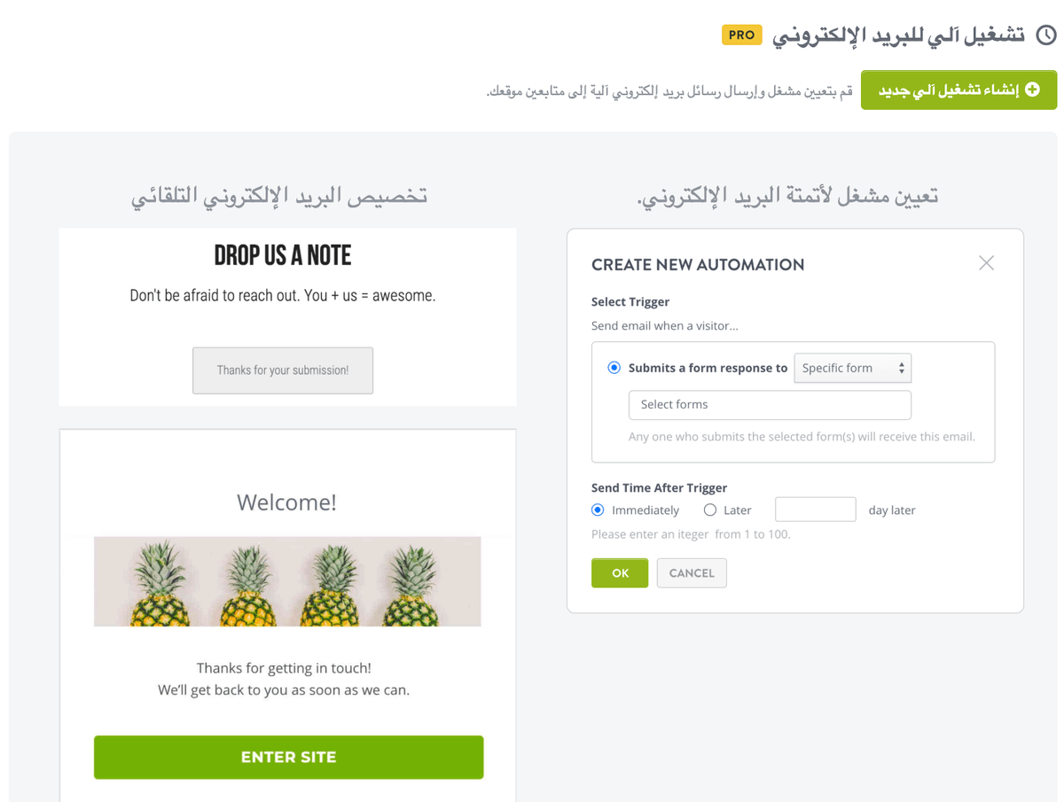 ميزات الأتمتة في Strikingly