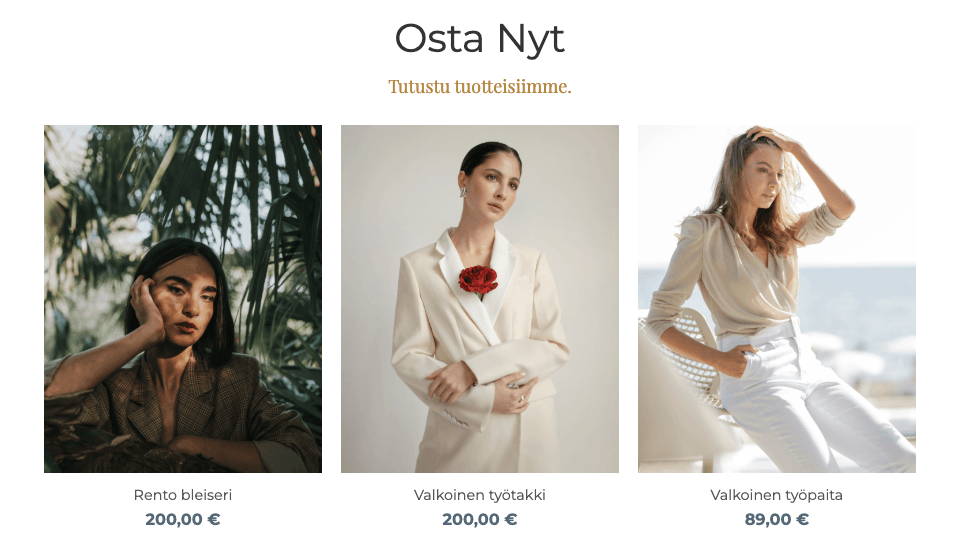 Perspective Verkkokaupan Malli