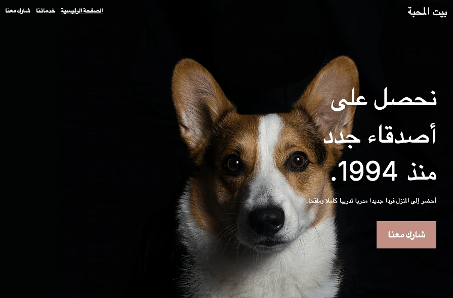 نموذج تصميم موقع ويب غير ربحي "Loving Home"