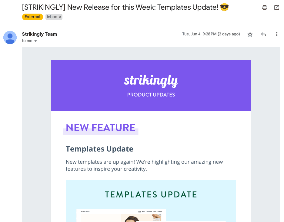 نشرة Strikingly الإخبارية